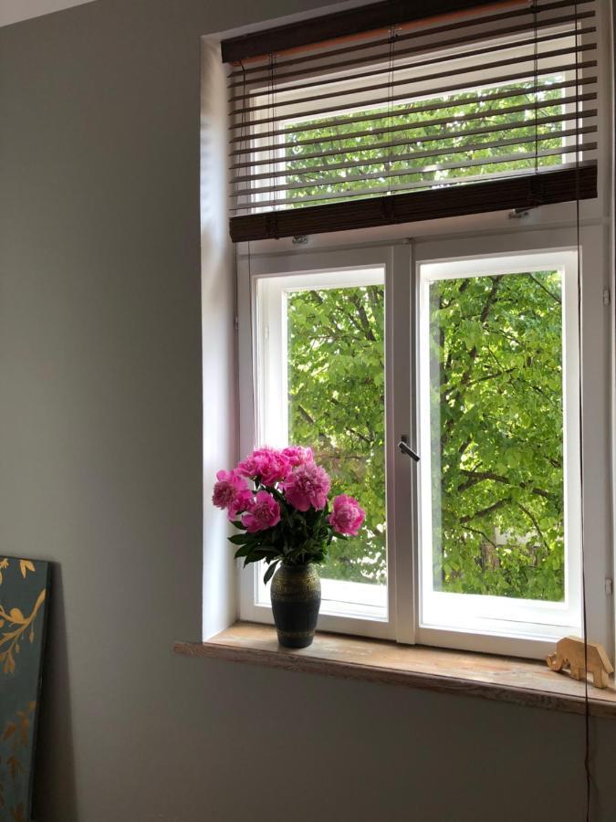 Bohemian Apartment In The Heart Of Old Ventspils City Екстериор снимка